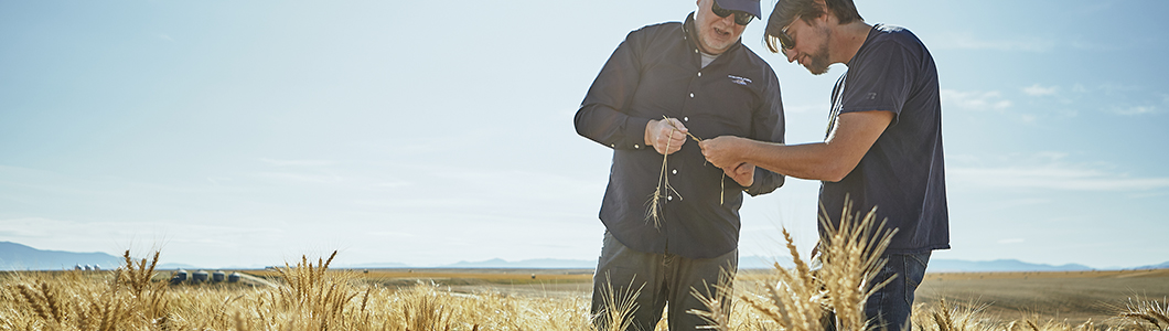 A student and a professor observe some wild grass in a field.