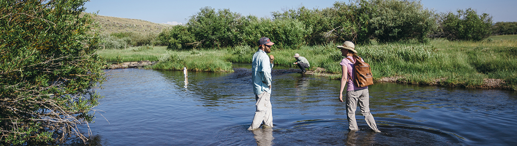 A group of scientists gather samples in a creek.