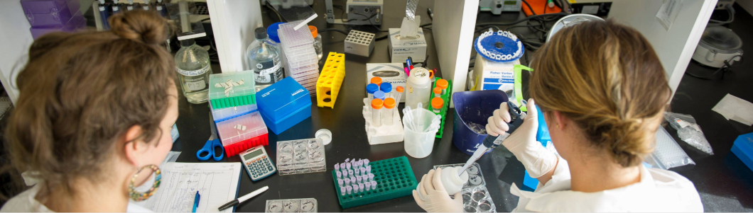 Three veterinary students discuss a case in a barnyard.
