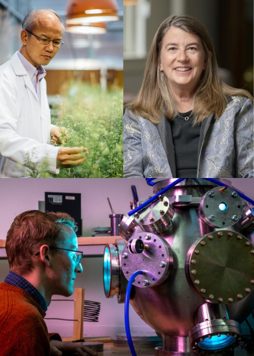 Chaofu Lu, Elizabeth Shanahan, and Tristan Sampley