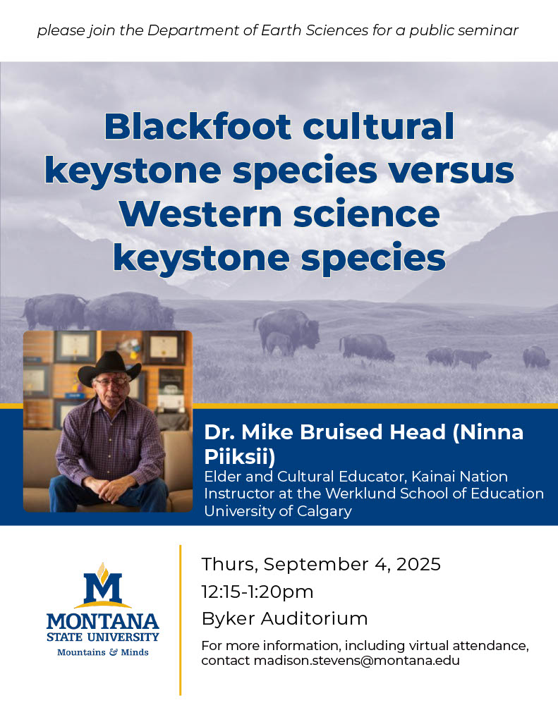 Dr. Bruised Head Speaker