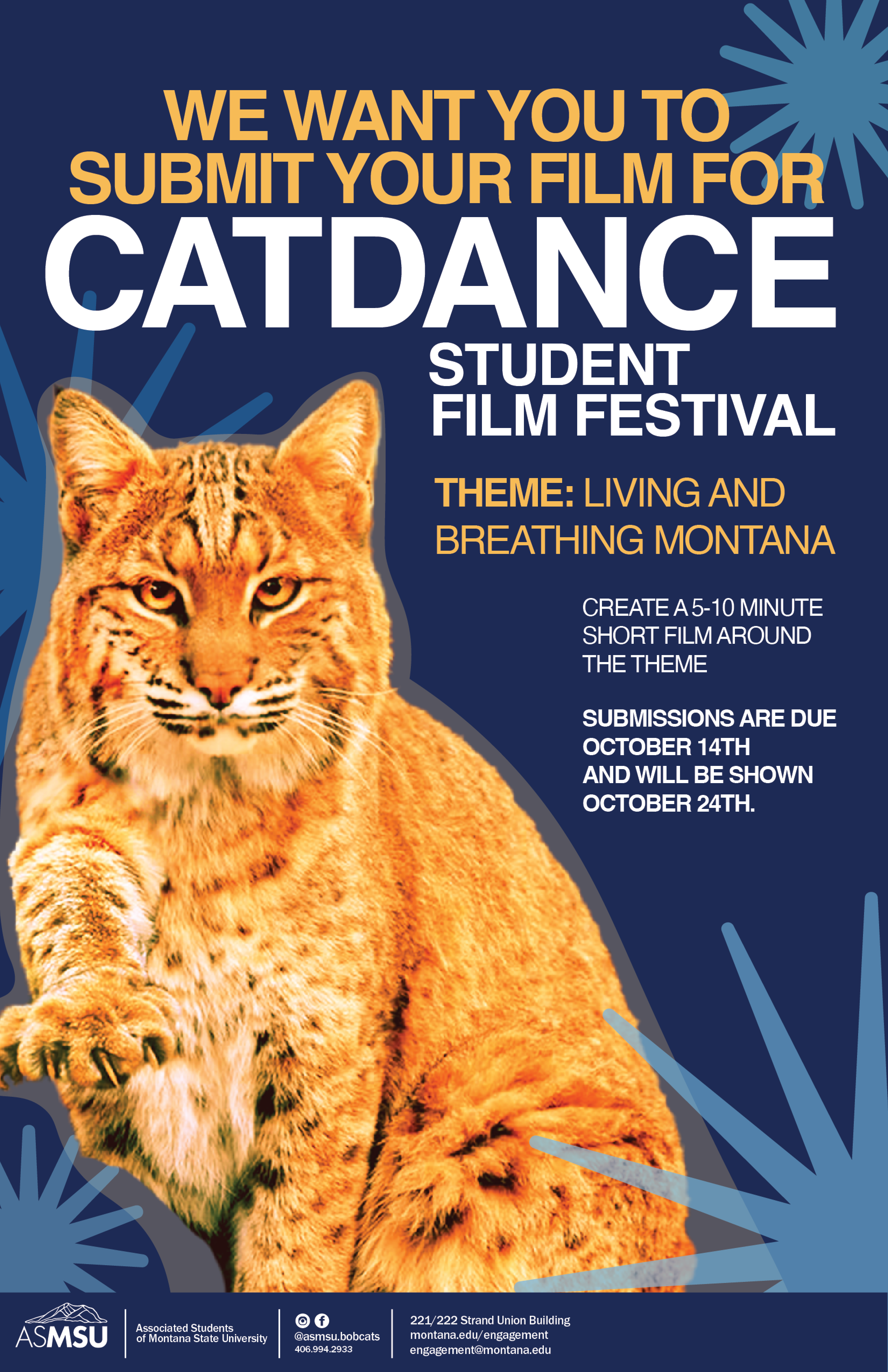 Catdance film festival