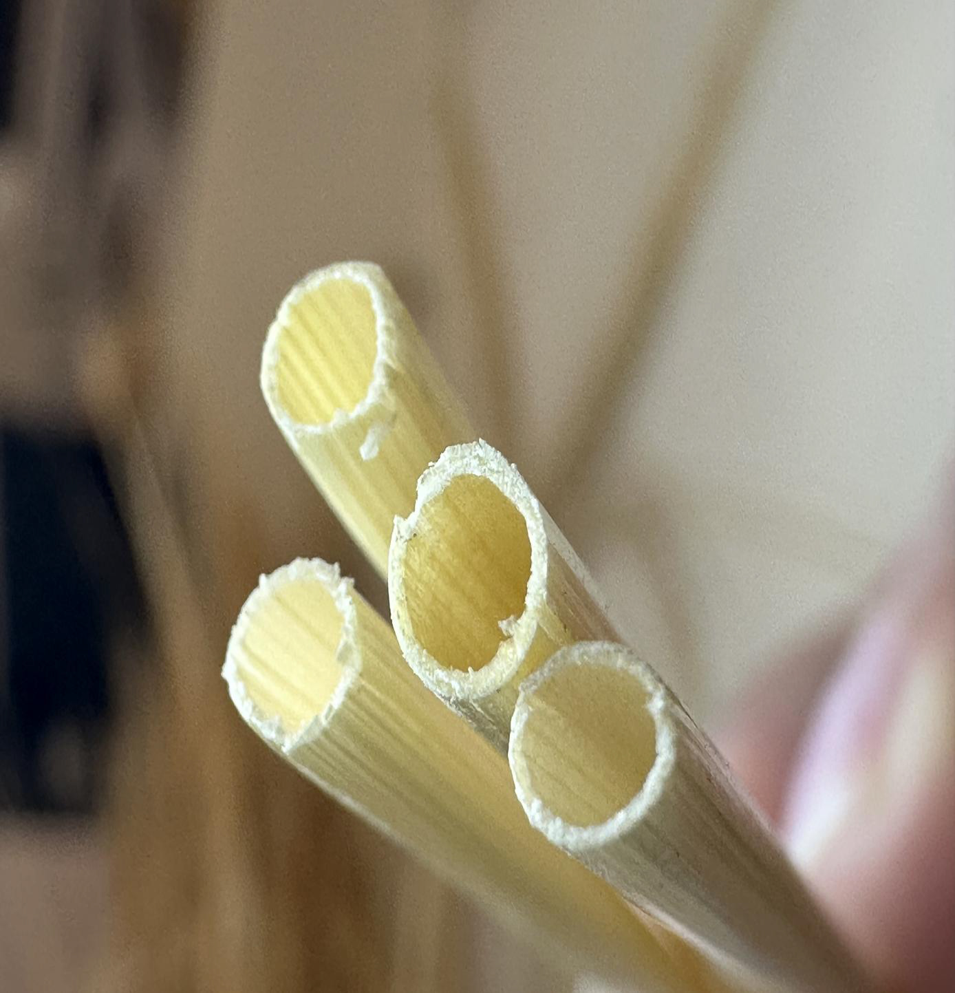 Hollow stemmed barley