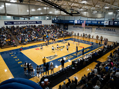 Bobcat Volleyball