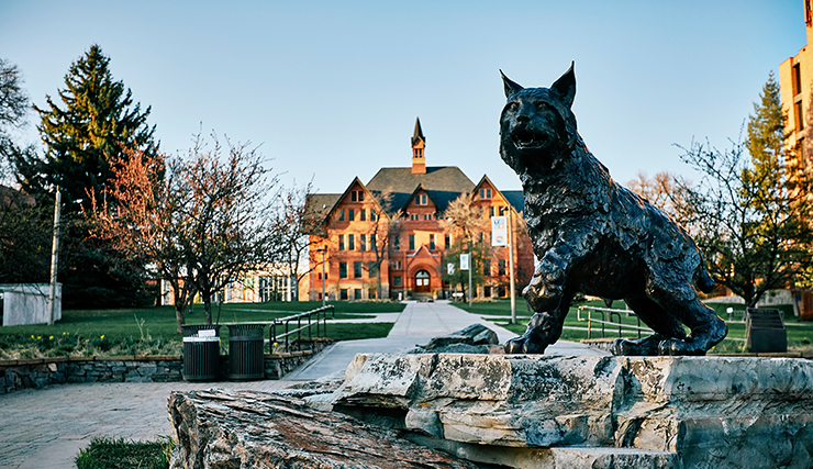Spirit statue in early morning