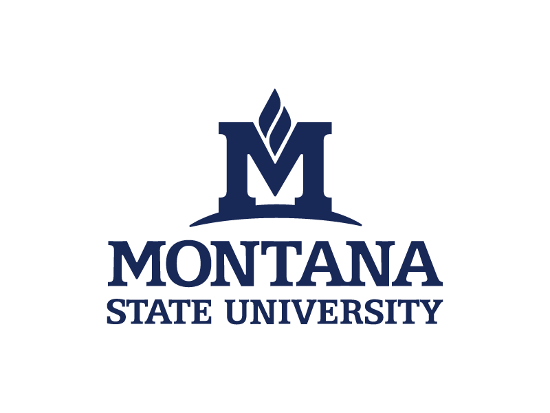 MSU Logo Guidelines - Creative Services | Montana State University