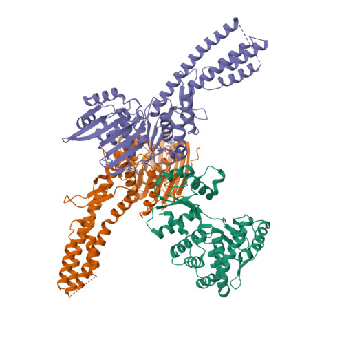 Asymmetric unit of the PARIS Immune Complex at 3.2 Angstrom Resolution