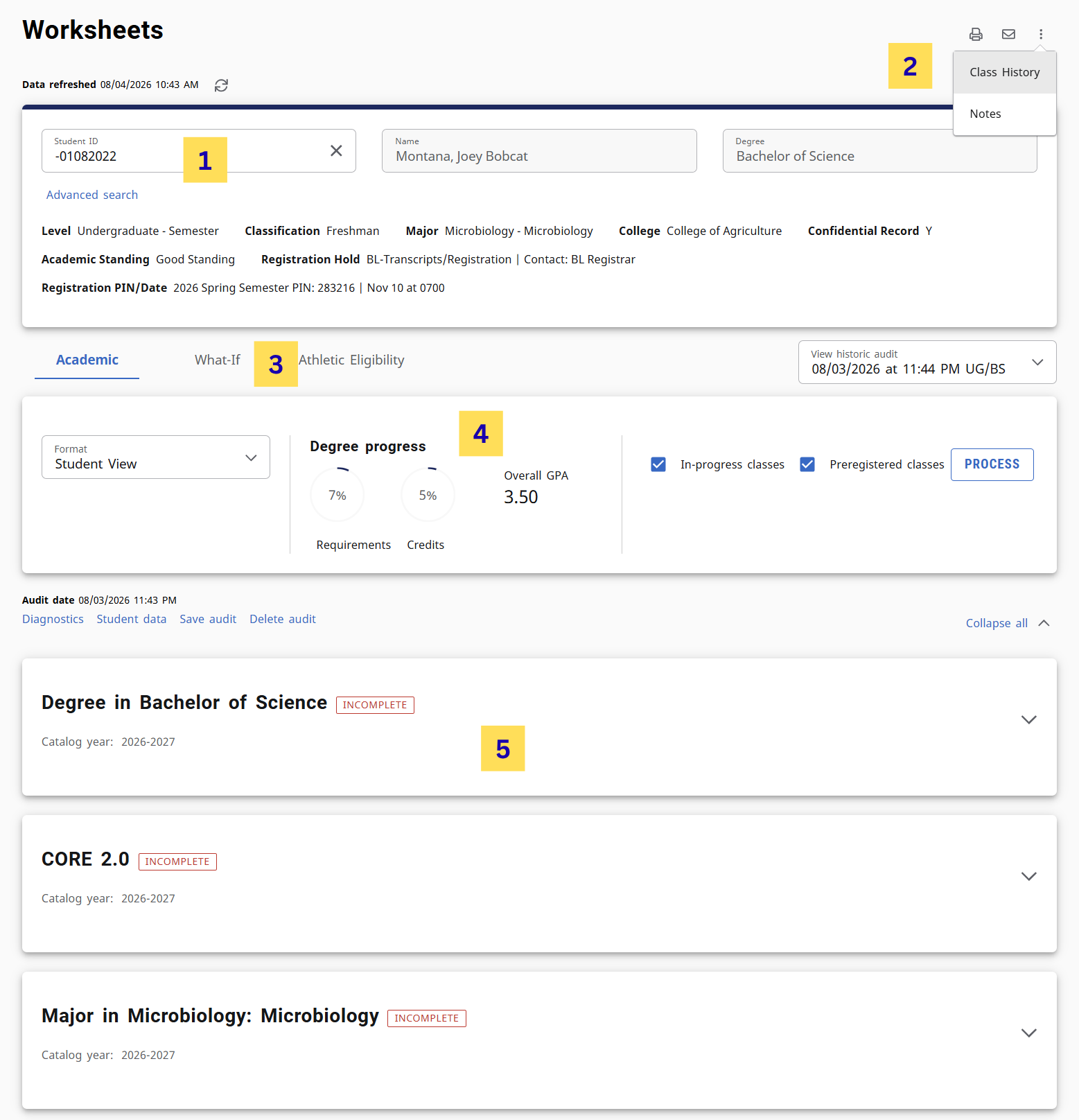 degree audit page