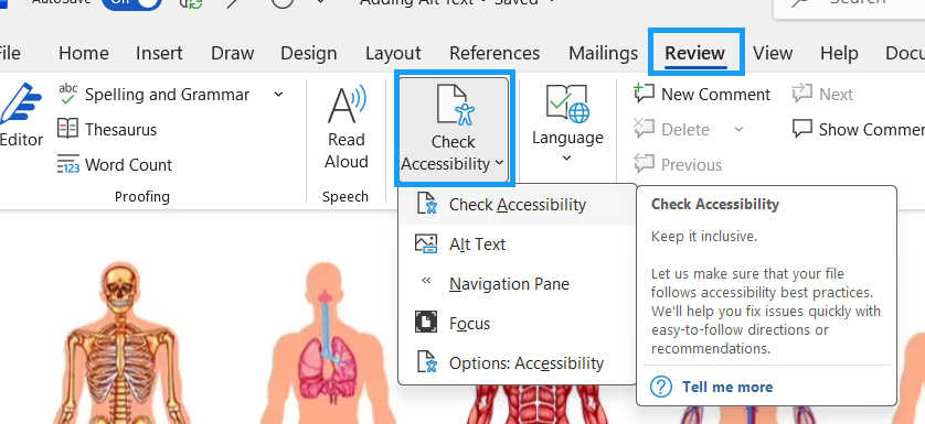 Microsoft Word document with the Review tab highlighted and the Check Accessibility option highlighted below