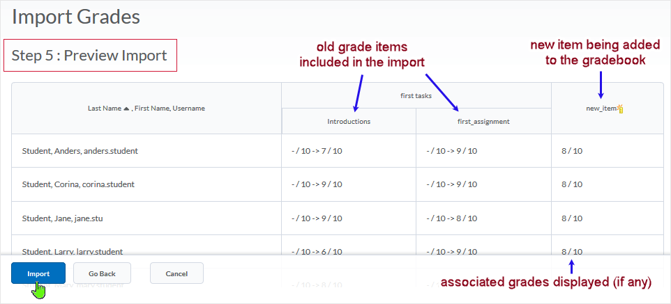 D2L20.19.6 screenshot - preview screen of step 5 in the process of importing