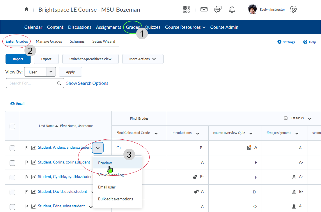 D2L 20.19.9 screenshot - select Preview from the contextual menu associated with a student namestudent name link from Course Navigation bar menu, in the "Enter Grades" area select student name link