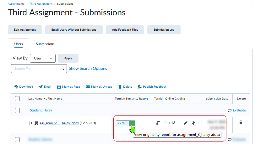 Brightspace screenshot 20.22.10 - select the "Turnitin Simularity Report" icon from the submission page