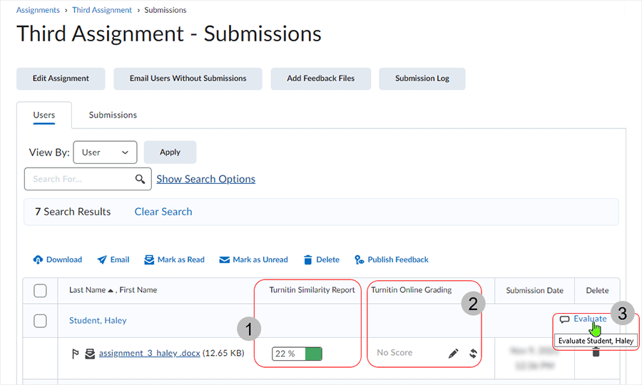 Brightspace screenshot 20.22.10 - selecting the Similarity Report or Online Grading icon to get to Feedback Studio area