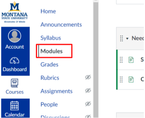Course navigation menu with Modules outlined in red.