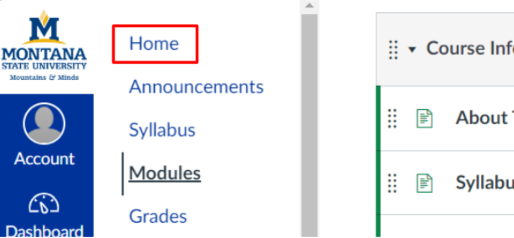 Zoomed in course navigation menu with Home outlined in red
