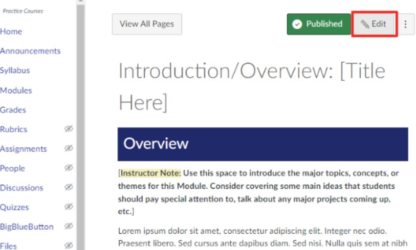 Canvas detail and settings window of a page titled Introduction and Overview with the edit button outlined in red.