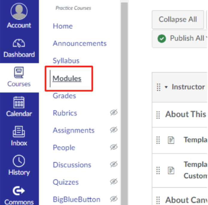Modules in the course navigation menu outlined in red