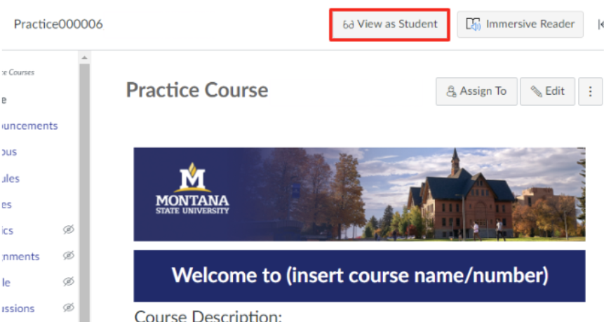 MSU Branded Canvas home page with "view as student" button in top right corner outlined in red. 