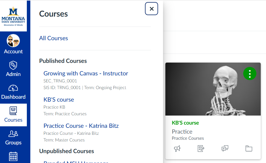 Canvas dashboard with blue global navigation bar on the left side with the icon courses in focus and a pop out menu with a list of courses