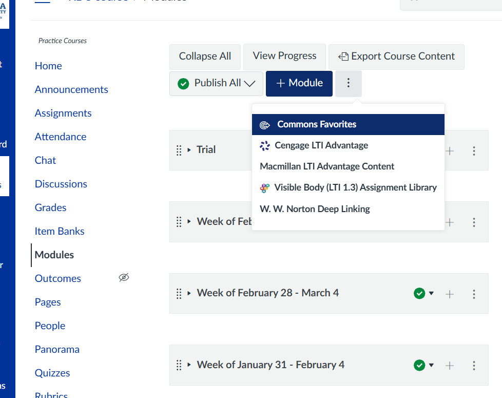 Module page in Canvas with a drop down menu in the right-hand corner with various LTIs