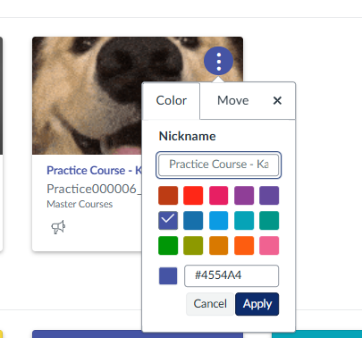Canvas course card with the 3 dots in the right-hand corner selected and the options to change the color and nickname below