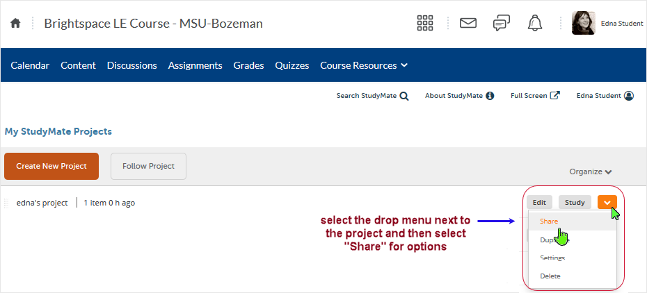 Brightspace_StudyMate screenshot 20.19.10 - select the drop menu to access a "Share" link which will provide access to a URL with which to share a project with others