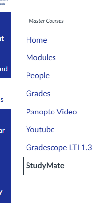 Course navigation of canvas with studymate in bold