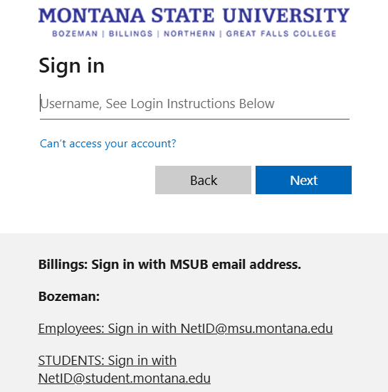 Login page for Canvas showing to use NetID and password to login