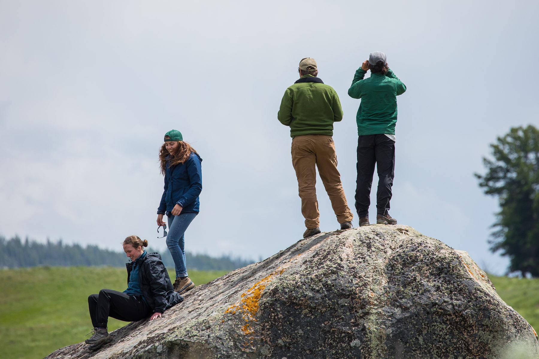 Summer Field Course