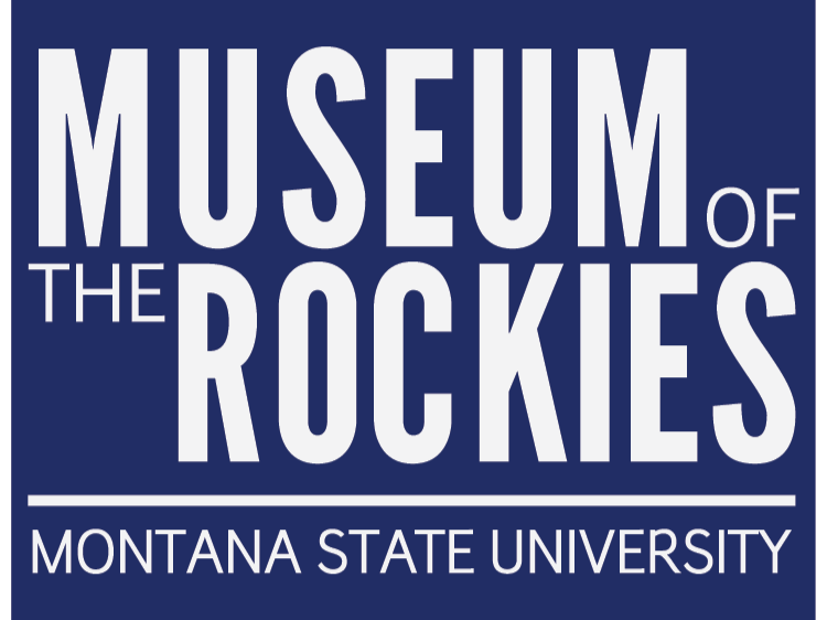 Put Image Description Here