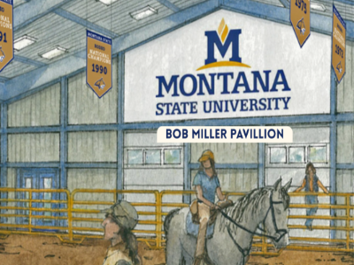 bob miller pavillion
