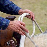 Person on a tan horse holding reins looped together with just a few fingers