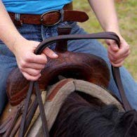 Person on a tan horse holding reins with two steady hands four inches apart