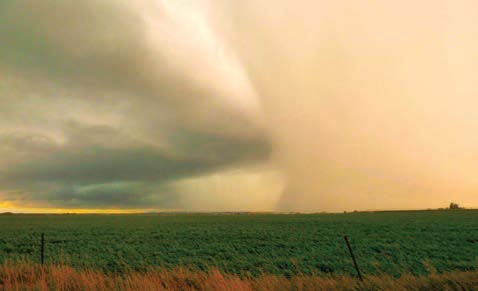 Dark storm clouds sweep across a cultivated field, with a visible rain shaft descending from the cloud base near the horizon.