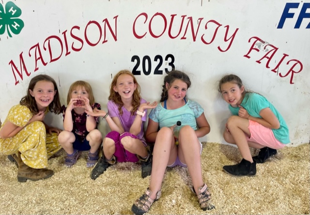 Cloverbuds at the Madison County Fair