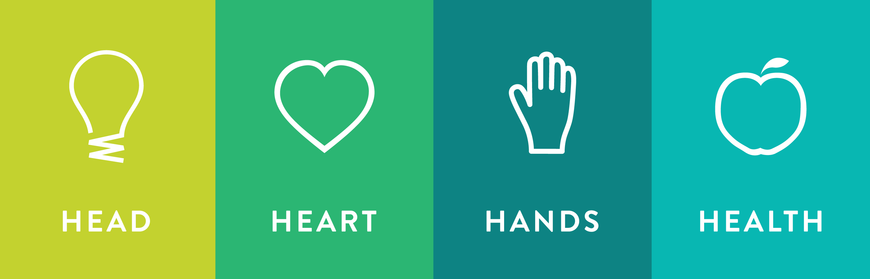 Image of the grouped 4-H icons for head, heart, hands, and health.