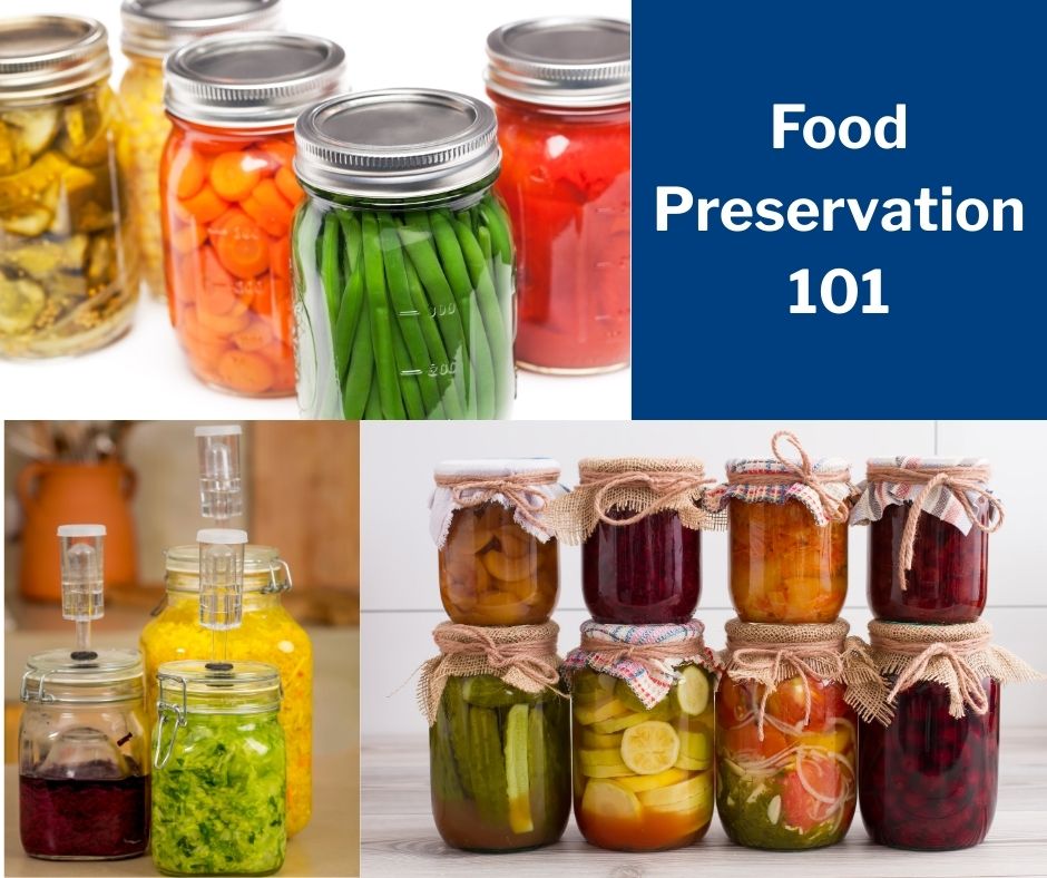 Text Food Preservation 101 with images of jars with a variety of preserved foods
