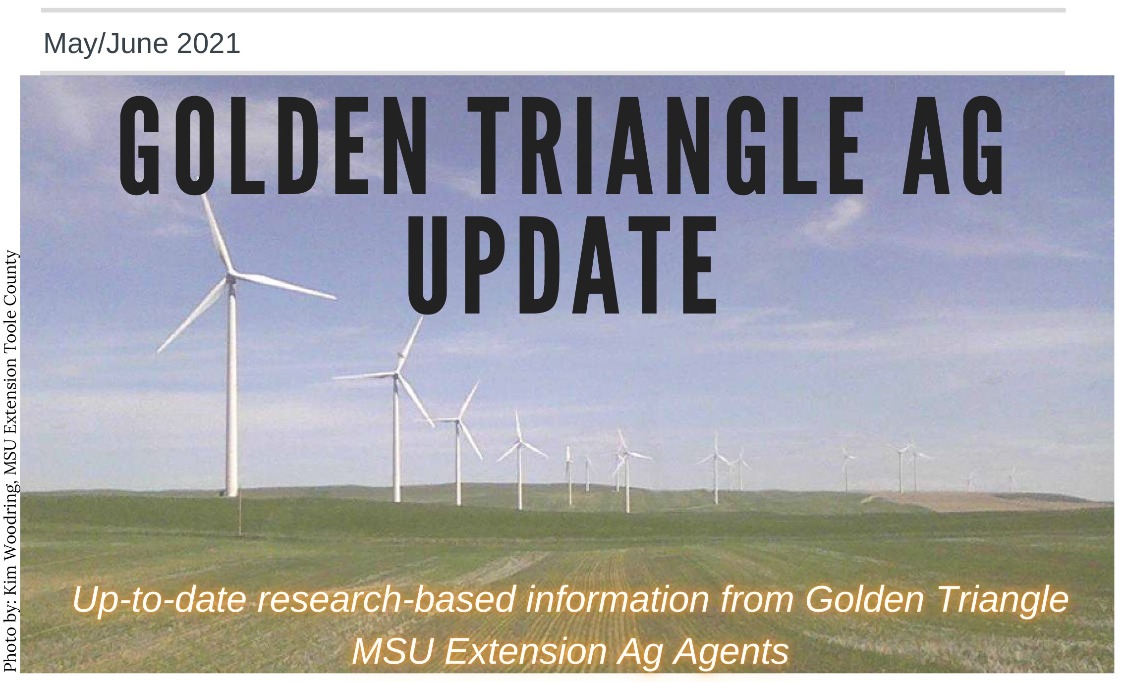 Golden Triangle Ag Update May-June 2021