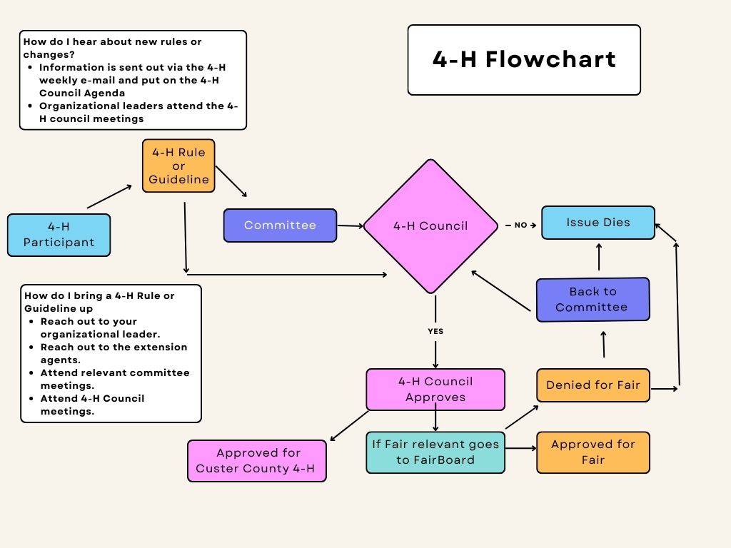 A visual representation of how a rule is established.  Please refer to the November newsletter for description of process. 