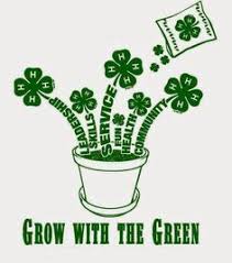 4H Grows here clipart