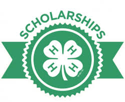 Scholarship 4H button with ribbon