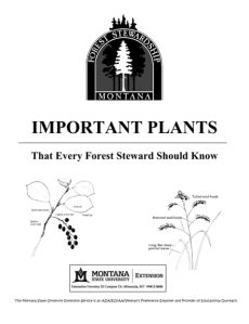 Important Plants
