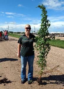 woman holding large noxious weed