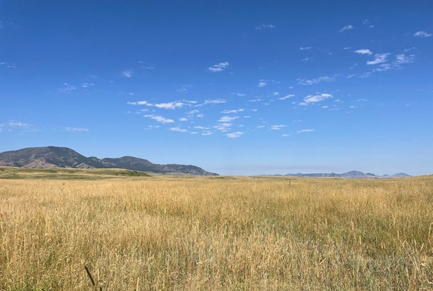 A field of grass with mountains and blue sky in the background.