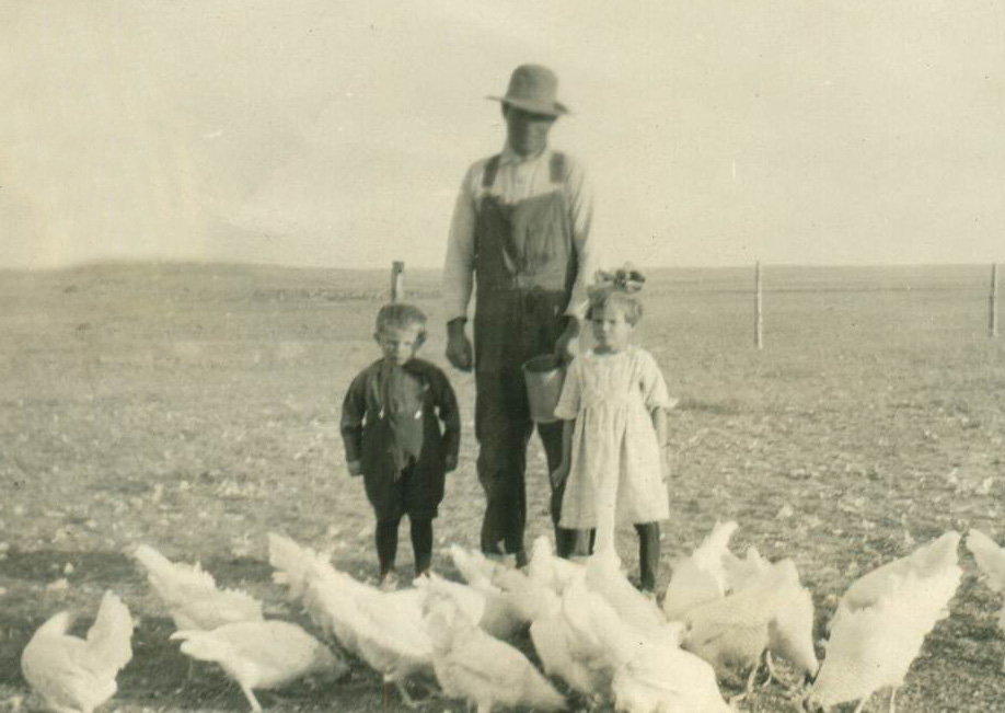 Charles Wiegand and his children stand in a field with chickens in front of them.