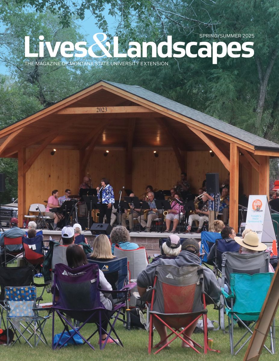 The spring/summer 2025 issue cover photo features a wooden bandstand in a park. The bandstand is full of musicians. A crowd sits in camping chairs facing the band.
