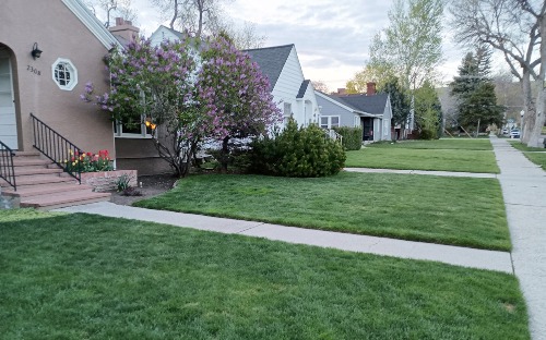 Rectangles of green lawn are framed by sidewalks leading up to a row of houses