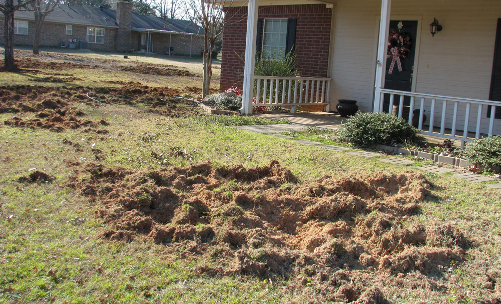 Lawns are visible in front of two houses with large areas of torn-up earth, the bumpy brown patches stand out against the level green grass.