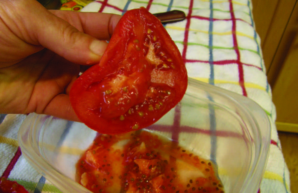 a tomato cut open to expose the seeds