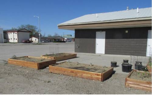 Raised garden beds sit in the gravel parking area outside a building. 